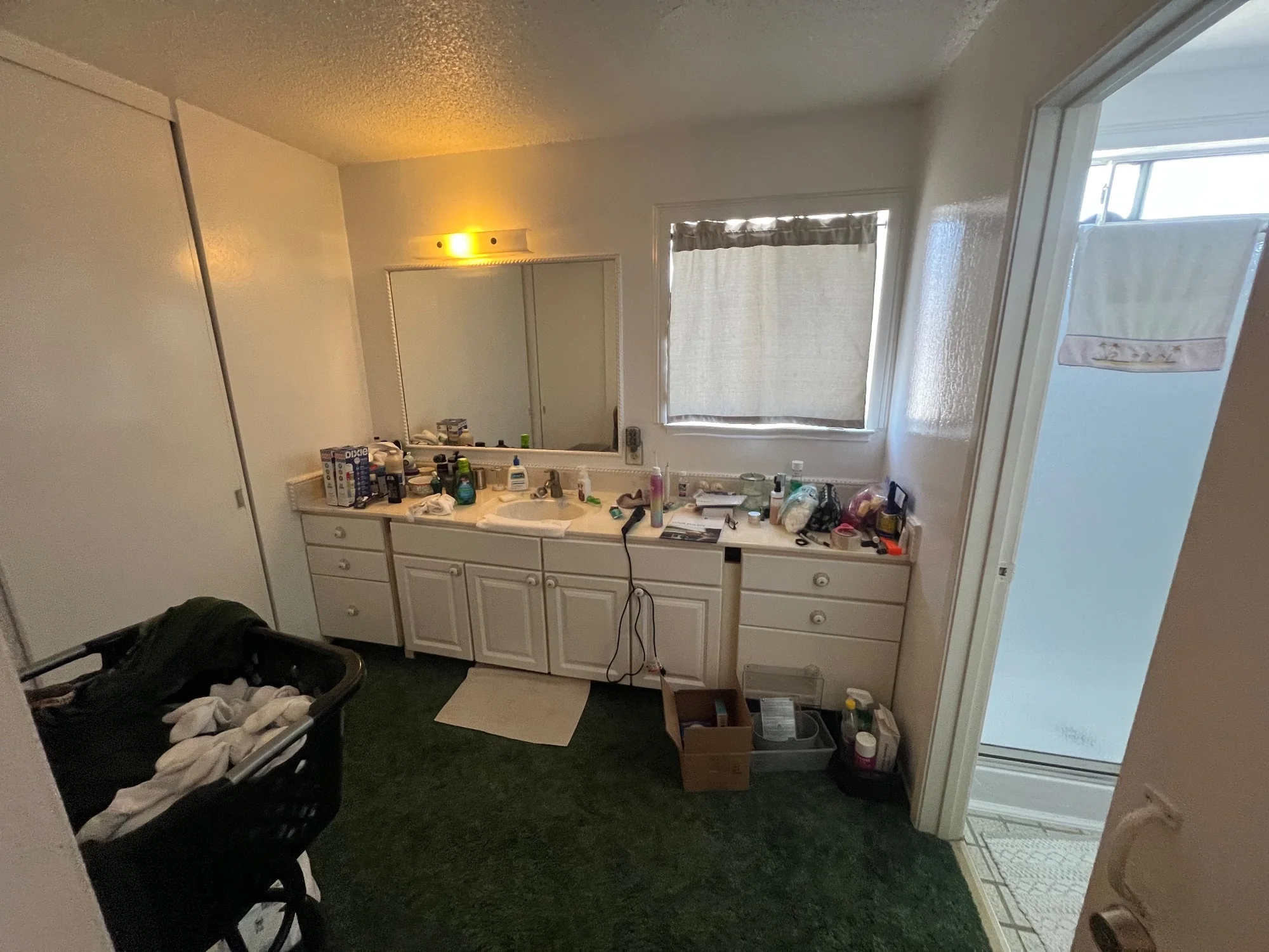 Bathroom before renovation